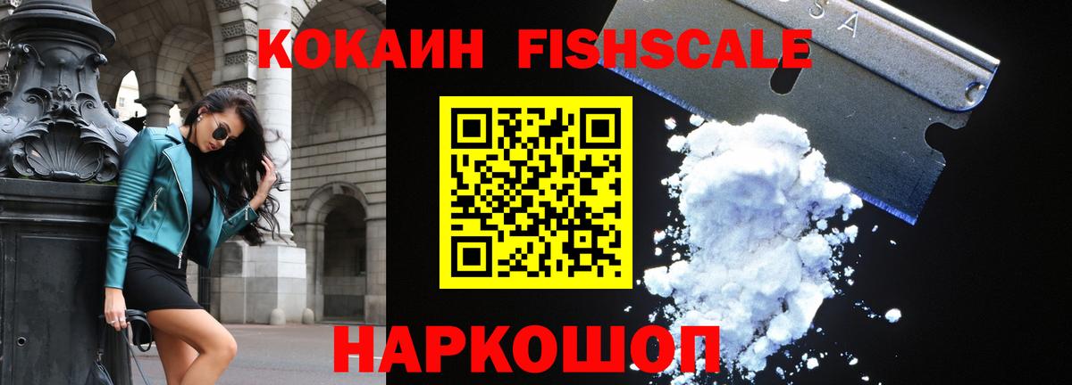 Cocaine FishScale Ефремов