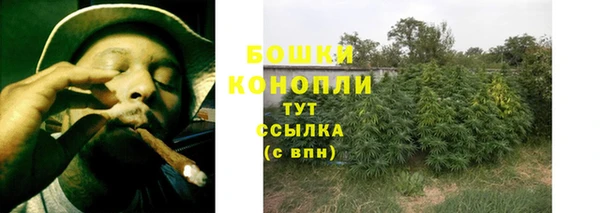 PSILOCYBIN Абдулино