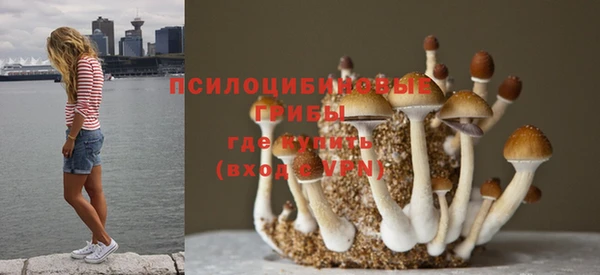 мескалин Алзамай