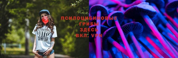 хмурый Абаза