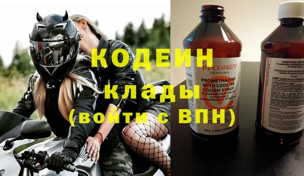 хмурый Абаза