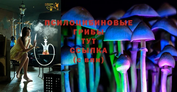 эйфоретик Алексеевка