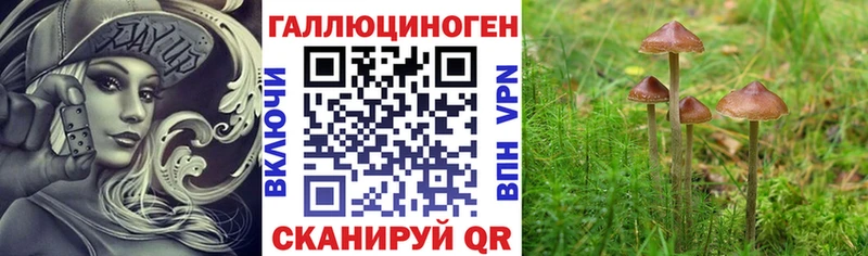 Псилоцибиновые грибы GOLDEN TEACHER  Ефремов 