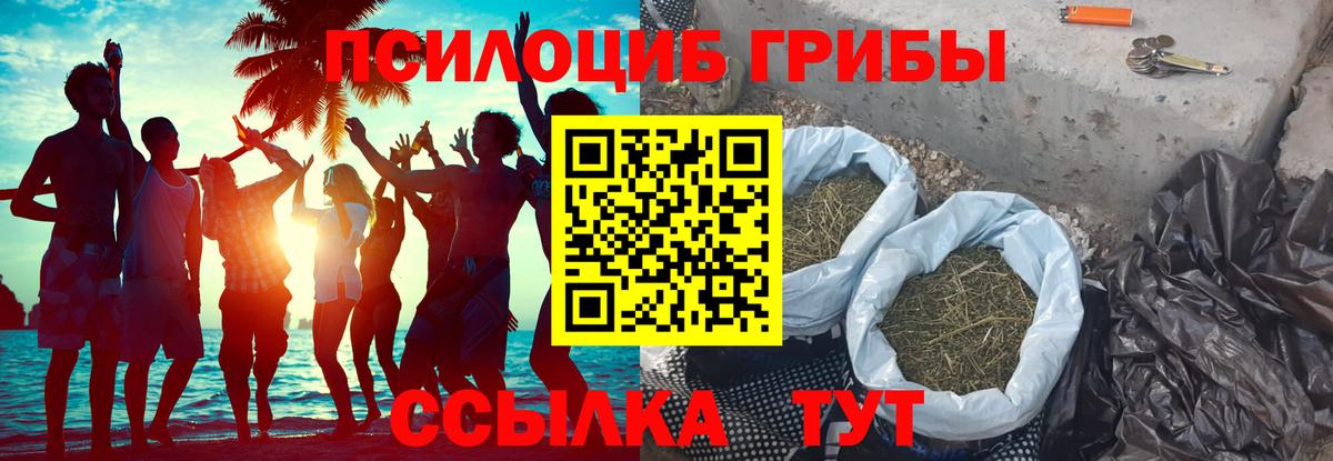 Галлюциногенные грибы MAGIC MUSHROOMS  хочу   Ефремов  Вход с VPN 