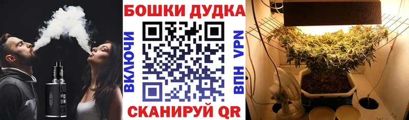 дарк нет как зайти  Ефремов  Конопля планчик 